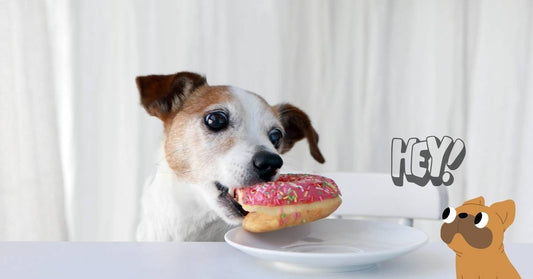 The Hidden Threat Destroying Your Business: Employee Pilferage and How to Stop It